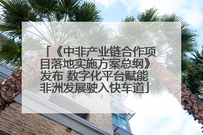 《中非产业链合作项目落地实施方案总纲》发布 数字化平台赋能非洲发展驶入快车道