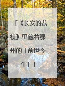 《长安的荔枝》里藏着鄂州的「前世今生」