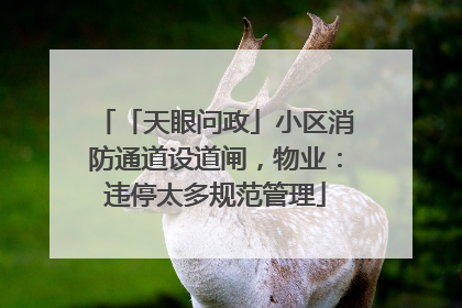 「天眼问政」小区消防通道设道闸，物业：违停太多规范管理