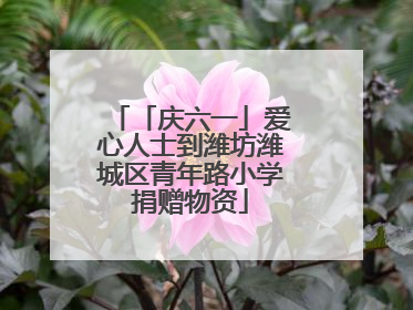 「庆六一」爱心人士到潍坊潍城区青年路小学捐赠物资