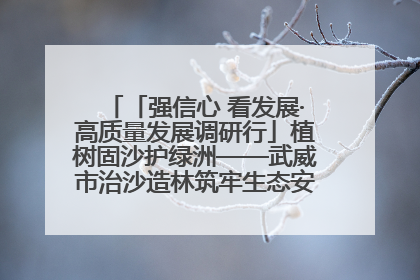 「强信心 看发展·高质量发展调研行」植树固沙护绿洲——武威市治沙造林筑牢生态安全屏障见闻