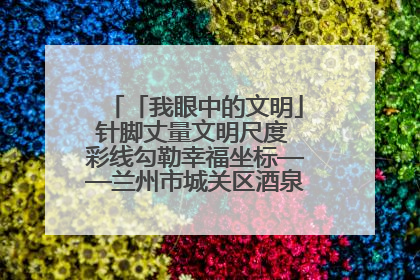 「我眼中的文明」针脚丈量文明尺度 彩线勾勒幸福坐标——兰州市城关区酒泉路街道办事处
