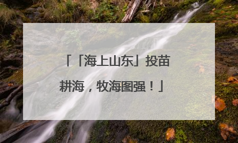 「海上山东」投苗耕海，牧海图强！