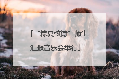 “粽夏弦诗”师生汇报音乐会举行