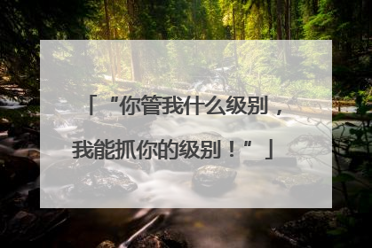 “你管我什么级别，我能抓你的级别！”