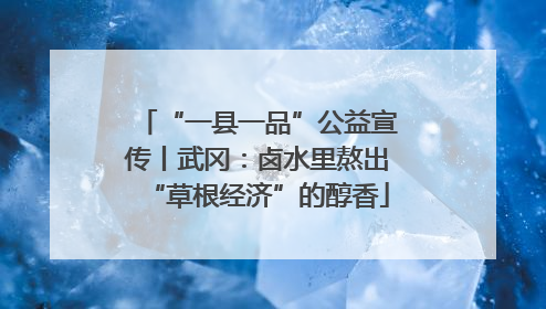 “一县一品”公益宣传丨武冈：卤水里熬出“草根经济”的醇香