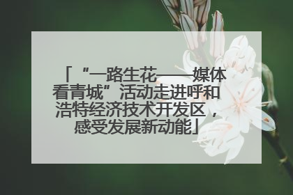 “一路生花——媒体看青城”活动走进呼和浩特经济技术开发区，感受发展新动能