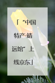“中国特产·靖远馆”上线京东