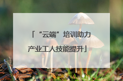 “云端”培训助力产业工人技能提升