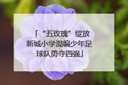 “五玫瑰”绽放 新城小学混编少年足球队勇夺四强