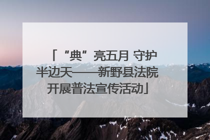 “典”亮五月 守护半边天——新野县法院开展普法宣传活动