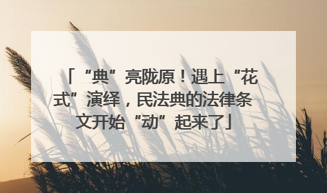 “典”亮陇原！遇上“花式”演绎，民法典的法律条文开始“动”起来了