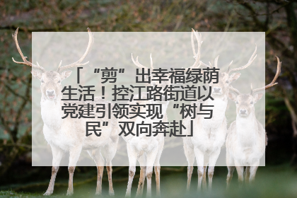 “剪”出幸福绿荫生活！控江路街道以党建引领实现“树与民”双向奔赴
