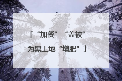 “加餐”“盖被” 为黑土地“增肥”