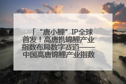 “唐小鲤”IP全球首发！高唐携锦鲤产业指数布局数字赛道——中国高唐锦鲤产业指数暨“唐小鲤”IP全球首发仪式在杭州举行