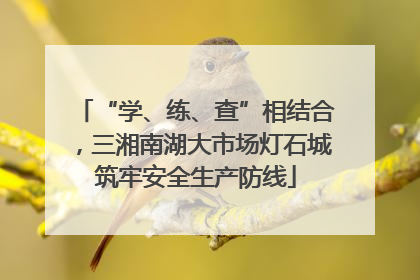 “学、练、查”相结合，三湘南湖大市场灯石城筑牢安全生产防线