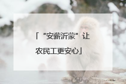 “安薪沂蒙”让农民工更安心