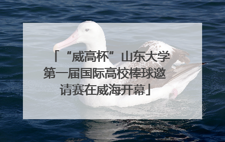 “威高杯”山东大学第一届国际高校棒球邀请赛在威海开幕