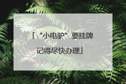 “小电驴”要挂牌 记得尽快办理