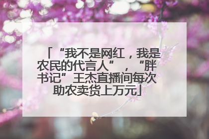 “我不是网红，我是农民的代言人”，“胖书记”王杰直播间每次助农卖货上万元