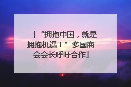 “拥抱中国，就是拥抱机遇！”多国商会会长呼吁合作
