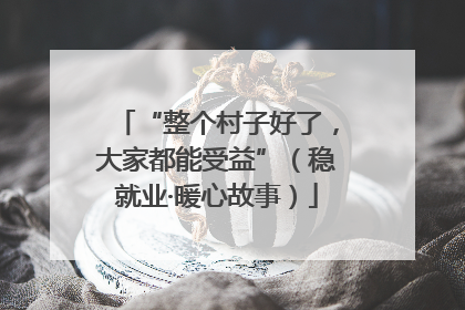 “整个村子好了，大家都能受益”（稳就业·暖心故事）