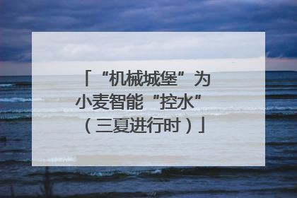 “机械城堡”为小麦智能“控水”（三夏进行时）