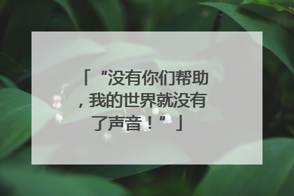“没有你们帮助，我的世界就没有了声音！”