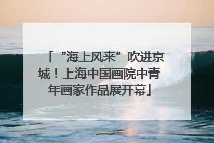 “海上风来”吹进京城！上海中国画院中青年画家作品展开幕
