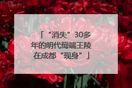 “消失”30多年的明代蜀端王陵在成都“现身”