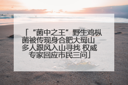 “菌中之王”野生鸡枞菌被传现身合肥大蜀山 多人跟风入山寻找 权威专家回应市民三问