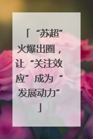“苏超”火爆出圈，让“关注效应”成为“发展动力”