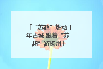 “苏超”燃动千年古城 跟着“苏超”游扬州