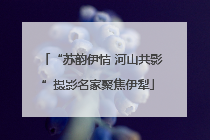 “苏韵伊情 河山共影”摄影名家聚焦伊犁
