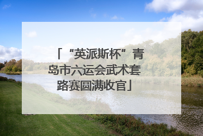“英派斯杯”青岛市六运会武术套路赛圆满收官
