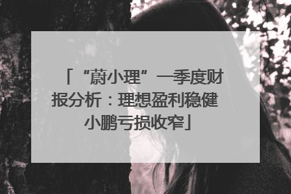 “蔚小理”一季度财报分析：理想盈利稳健 小鹏亏损收窄