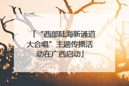 “西部陆海新通道大合唱”主题传播活动在广西启动