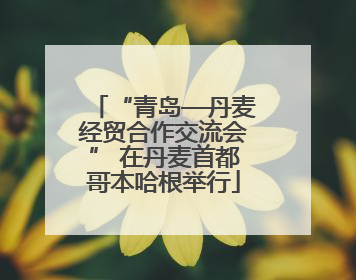 “青岛—丹麦经贸合作交流会” 在丹麦首都哥本哈根举行