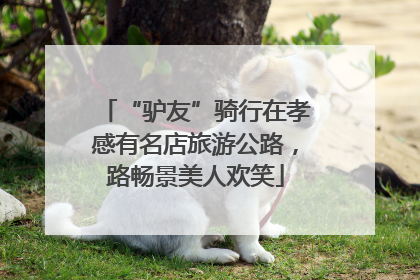 “驴友”骑行在孝感有名店旅游公路，路畅景美人欢笑