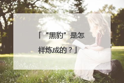 “黑豹”是怎样炼成的？