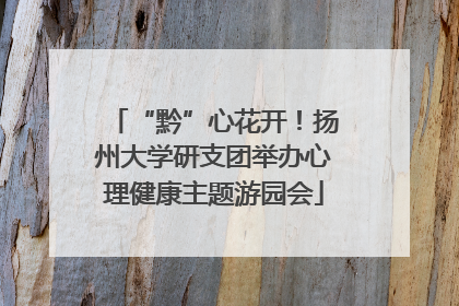 “黔”心花开！扬州大学研支团举办心理健康主题游园会