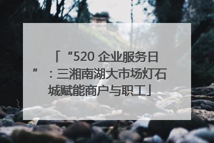 “520 企业服务日”：三湘南湖大市场灯石城赋能商户与职工