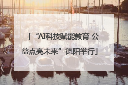 “AI科技赋能教育 公益点亮未来”德阳举行