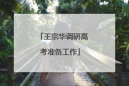 王宗华调研高考准备工作