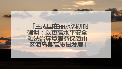 王成国在丽水调研时强调：以更高水平安全和法治环境服务保障山区海岛县高质量发展