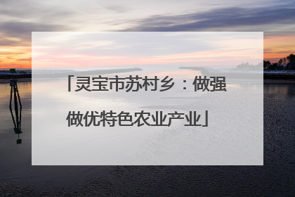 灵宝市苏村乡：做强做优特色农业产业