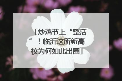 炒鸡节上“整活”！临沂这所新高校为何如此出圈