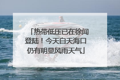 热带低压已在徐闻登陆！今天白天海口仍有明显风雨天气