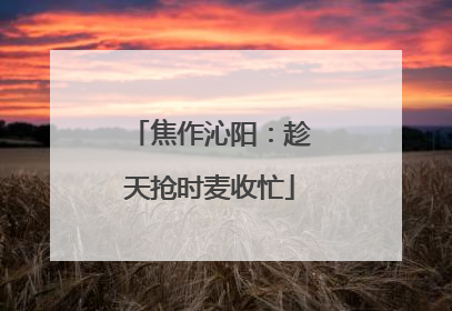 焦作沁阳：趁天抢时麦收忙