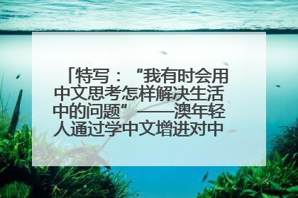 特写：“我有时会用中文思考怎样解决生活中的问题”——澳年轻人通过学中文增进对中华文化的理解